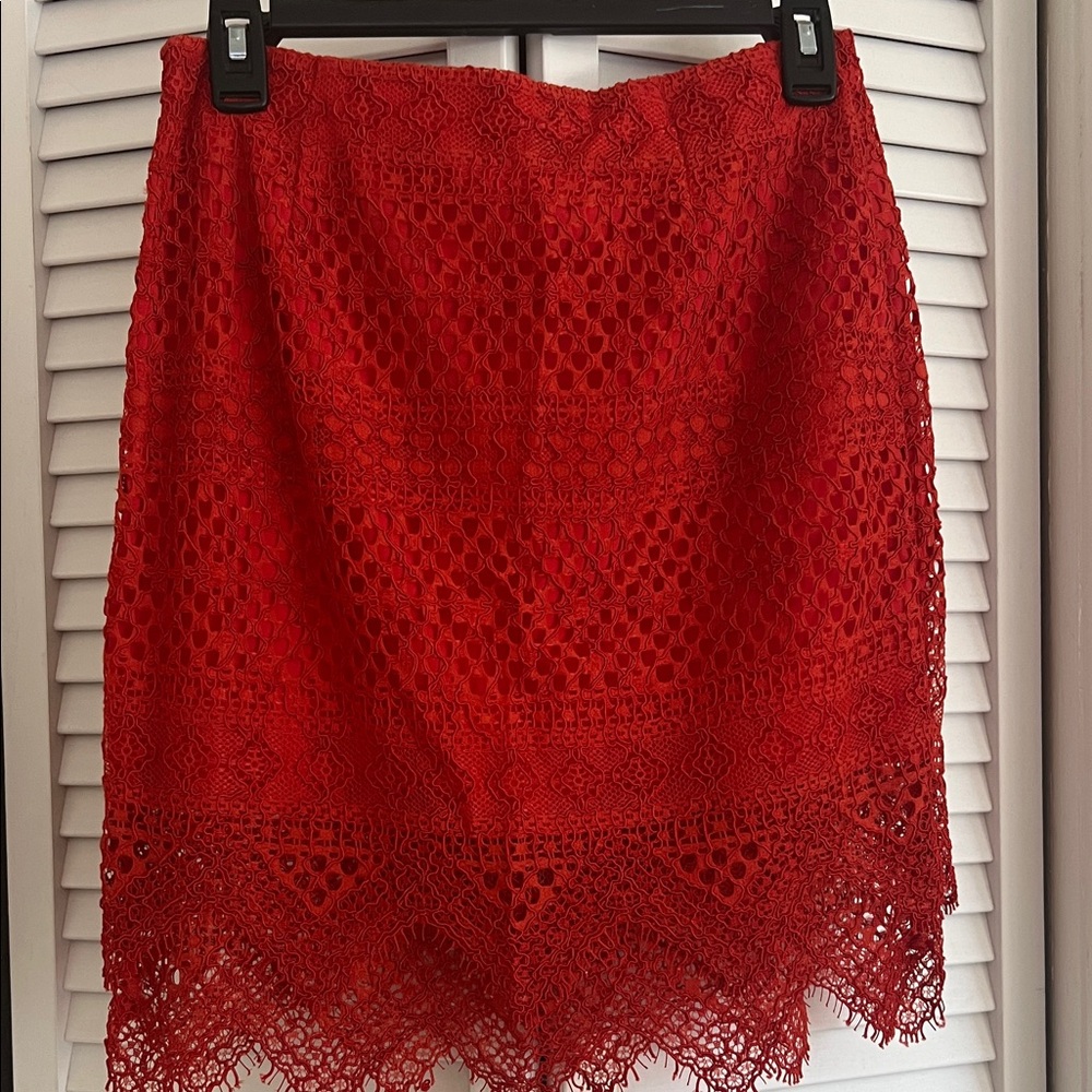 Banana Republic Elegant Red Lace Skirt - Picture 8 of 11